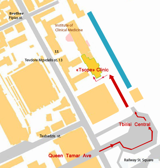 Map showing directions to Clinic Tsope at Tevdore Mgvdlis Street 13, Tbilisi, near Tbilisi Central Station and Queen Tamar Avenue